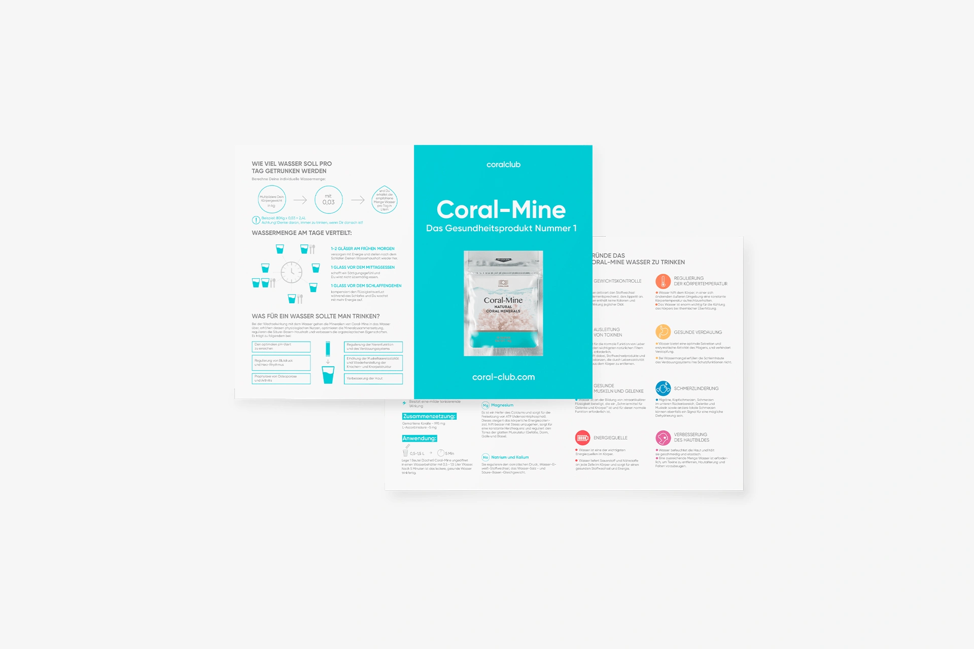 Flyer "Coral-Mine"